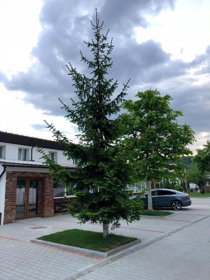 Nueva Park Affittacamere